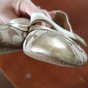 Coach Shoes - Coach Shoe Coach Shoes - Coach Shoe